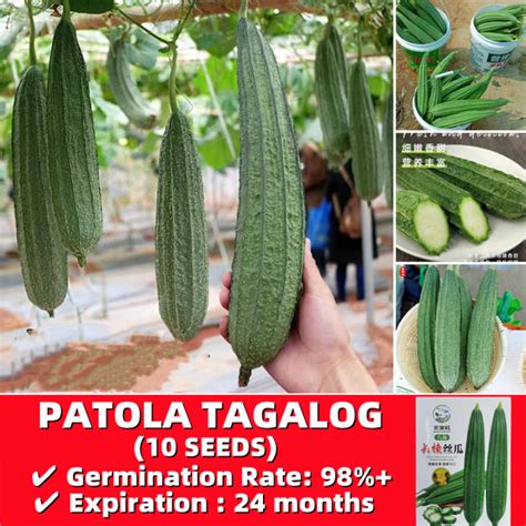 gloves seed in tagalog|seeds in Tagalog .